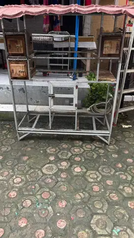 Kandang burung ternak