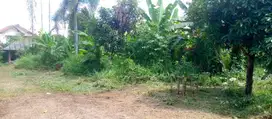 Kavling Murah Free SHM, Cicil 12x Bunga 0%, Dekat Kampus IPB