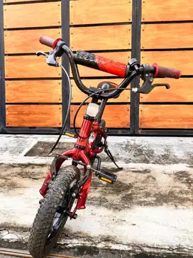 JUAL SEPEDA ANAK POLYGON