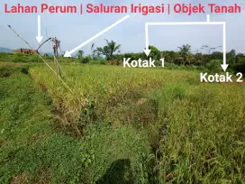 Tanah Sawah Produktif Depan Perumahan