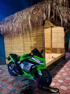 Jual Kawasaki Ninja 250 Fi ABS SE 30 anniversary tahun 2014