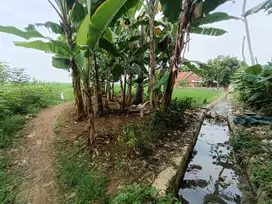 Dijual Tanah Darat 1881 plus Sawah 21376 m