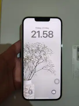 iPhone 13 256GB ex inter
