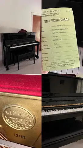 Piano Linden K121