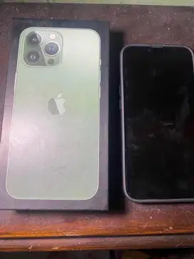 iPhone 13 Pro - 512 GB Alpine Green ex Inter regist Bea Cukai