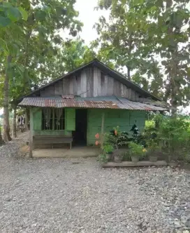 Mencari pekerjaan perawat lansia stroke .khusus oppah