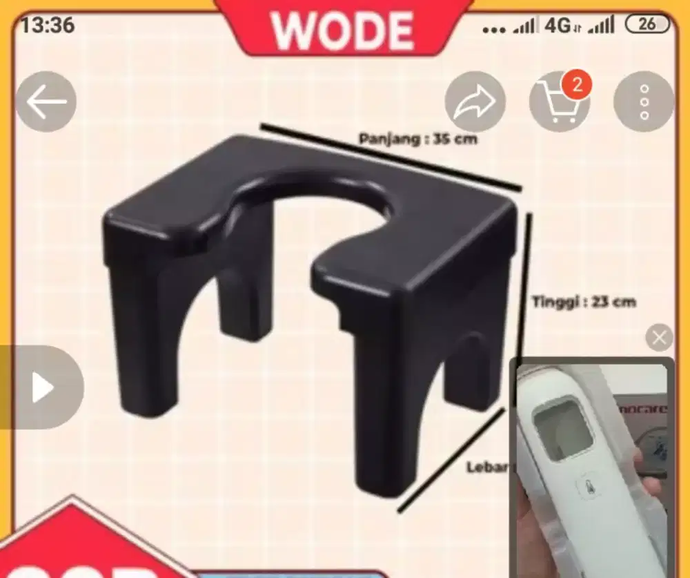 Kursi toilet anak