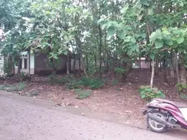 Dijual Cepat Tanah Murah