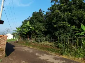 Kebun Sawo Apel