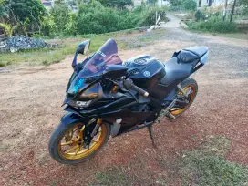 Yamaha R15 v3 2019