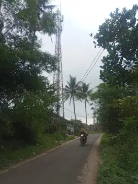 Di Jual Tanah di Malang