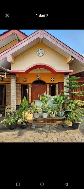 Di Jual Rumah Nyaman Lokasi Kadisoka Sleman Yogya