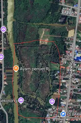 DIJUAL 120.000m2 KEBUN SAWIT & KOLAM DI KOTA BENGKULU
