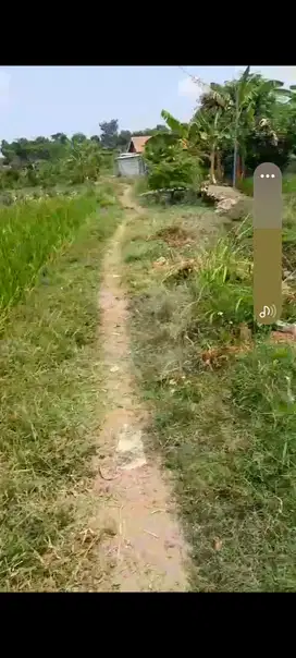 Tanah Pandaan perbatasan Dengan Prigen