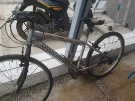 Sepeda wim cycle murah