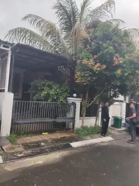 Sakura. Regency 3. Cluster. Asri.  Bebas. Banjir. Lingkungaan. Asriii
