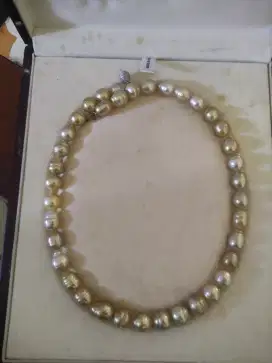 Mutiara Asli Akoya