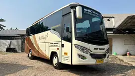 Dijual Medium bus Isuzu NQR 71 th 2017 Jetbus 2 Istimewa
