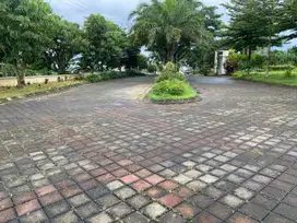 Dijual Tanah Bebas Banjir Malang  5 menit Kampus UIN