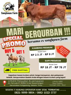 Jual hewan kurban sapi kambing dan domba
