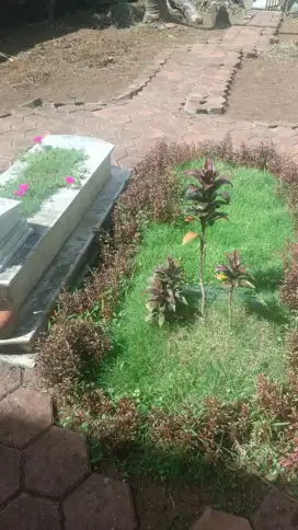 bersih bersih haman potong rumput