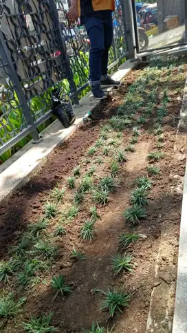 Karyawan di rumah