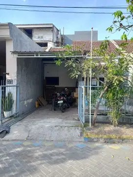 Perum Surya Asri II Blok E 08 No 14 Kel Jumput Rejo Sukodono Sidoarjo