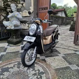 Scoopy Fi non ESP th 2015