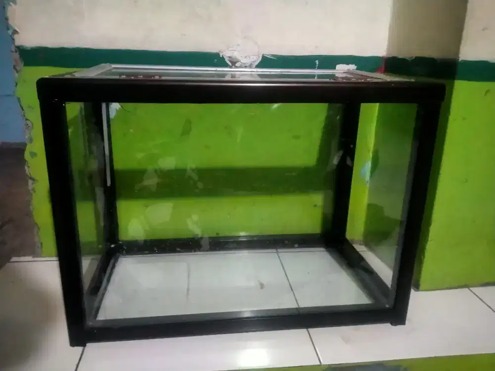 Etalase Buah Segar