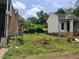 TANAH KALISEGORO GUNUNGPATI