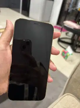 Dijual Iphone 12 Pro Gold / 128 GB Ex Ibox