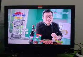 Jual cepat murah meriah tv Polytron 24