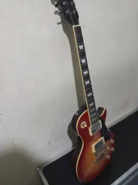 Gibson guitar pick up