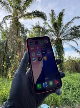 IPHONE 11 256GB, PRODUCT RED - ALL OPERATOR - INTER (LENGKAP)