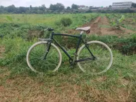 Sepeda fixie schwinn speed 7