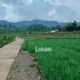 TANAH PRODUKTIF PINGGIR JALAN AREA CIWIDEY