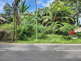 TANAH PINGGIR JALAN BANJARSARI