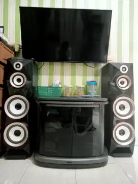 Speaker Polytron