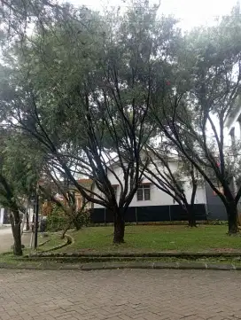 Di butuhkan ART nginep