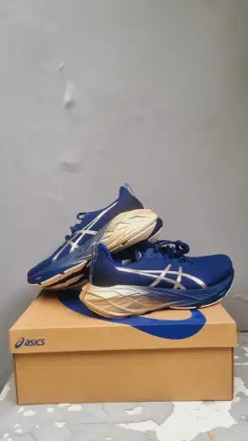 Asics Novablast 4 Platinum size 47
