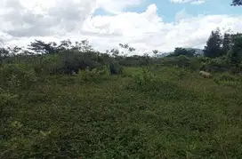 Tanah murah meriah nempel jalan kabupaten