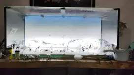 Backlight aquarium aquascape VRZ led screen 120cm x 50cm with dimmer