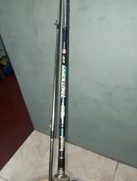 joran dan reel kyoto