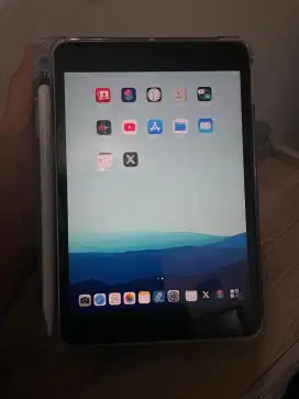 Ipad Mini 4 16GB Wifi & Cellular 4G