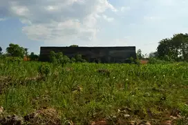 Jual Lahan Tanah, Goa dan Rumah Walet Tuban