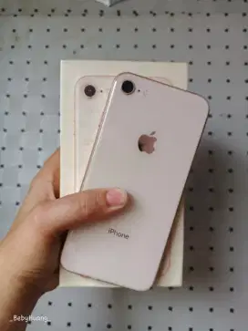 iPhone 8 256 inter gold