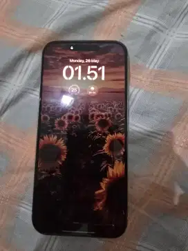 Iphone 16 Pro Max White Titanium