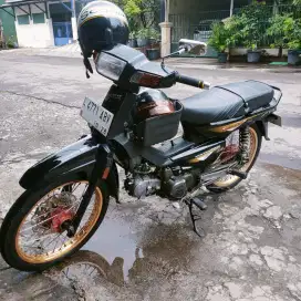 ASTREA LEGENDA Th. 2003 (Body Bulus)
