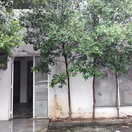 Sewa Ruko 3 Lantai di Terogong Raya Jaksel, 520 Jt/2 Tahun Dekat JIS