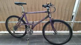 Suzuki Tech 8000 Elevated Chainstay